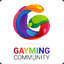 Gayming Commmunity